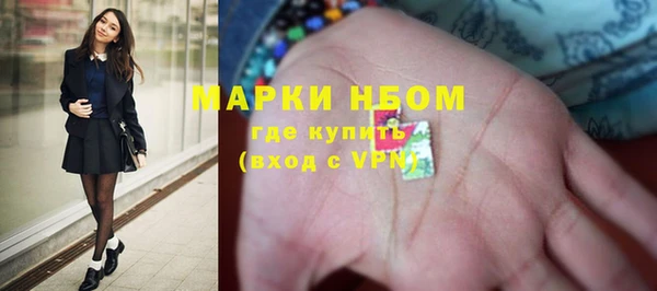 стаф Баксан