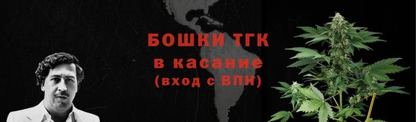 гидра Армянск