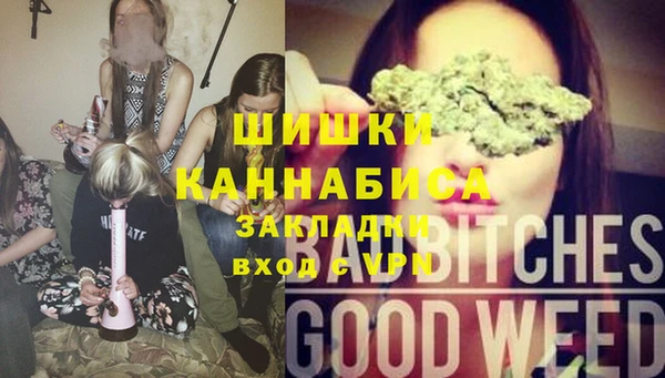 гидра Армянск
