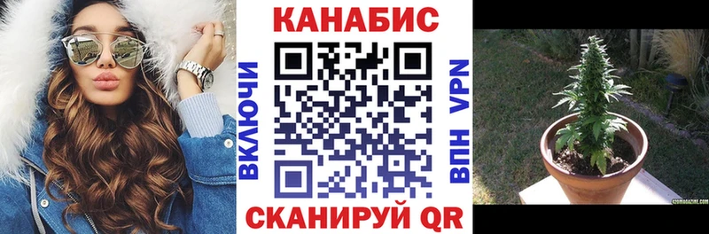 закладка  Нововоронеж  Канабис тримм 